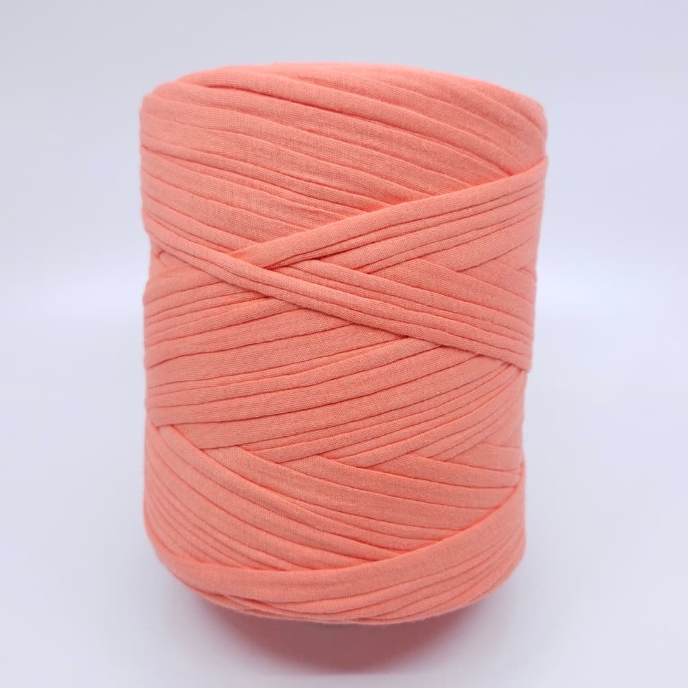 Zpagetti - Coral Mermaid 2