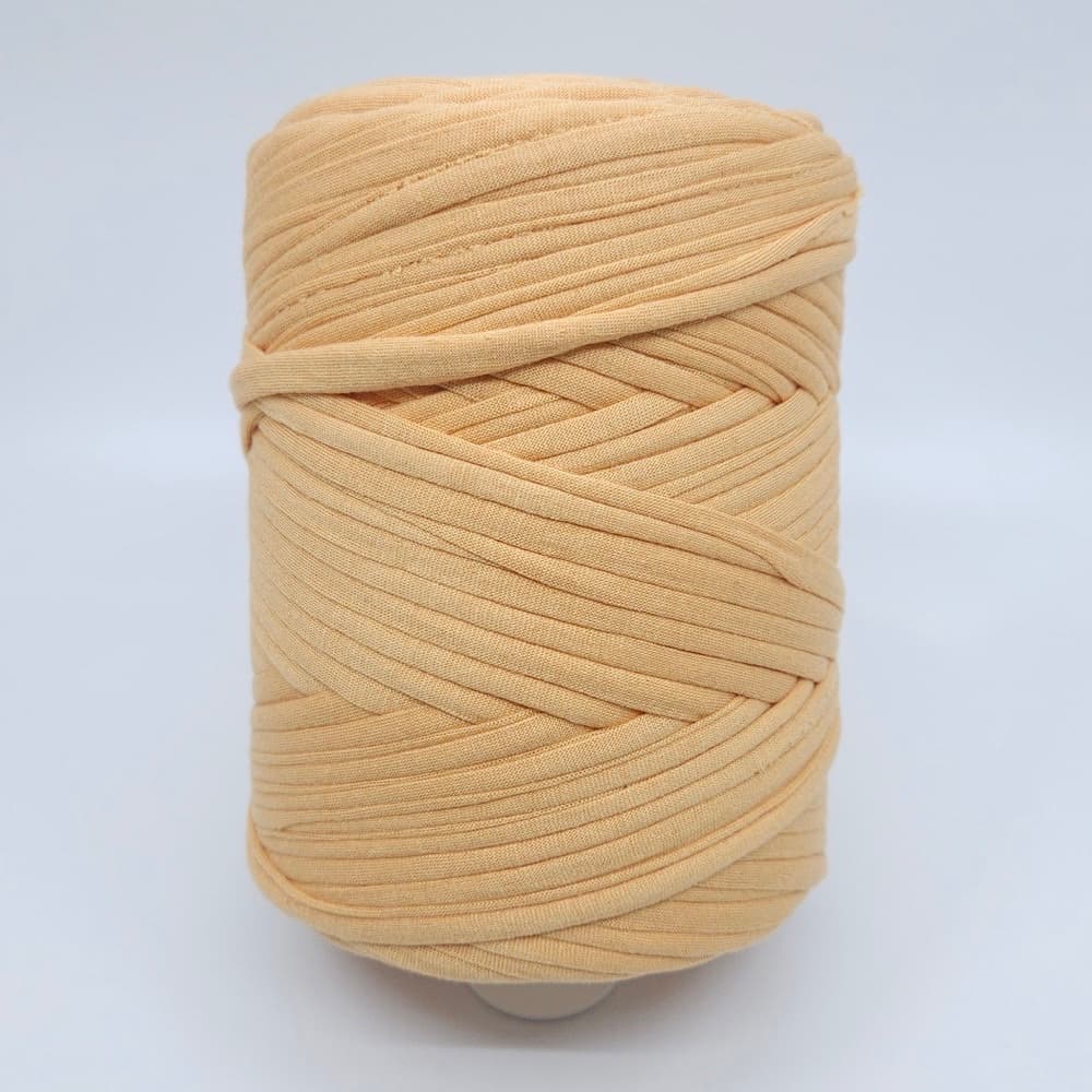 Zpagetti - Dandelion 2